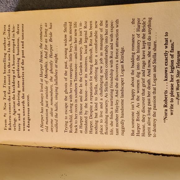 Blue Dahlia - Picture 4 of 4